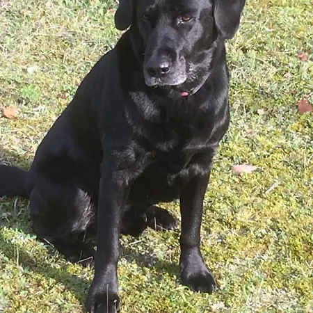 D'hotes Le Donjon Couette-café Bourdeilles