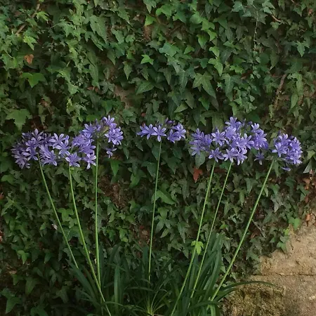 D'hotes Le Donjon 3* Bourdeilles