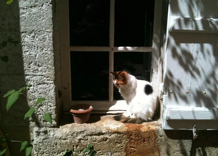 D'hotes Le Donjon Bed & Breakfast 3*