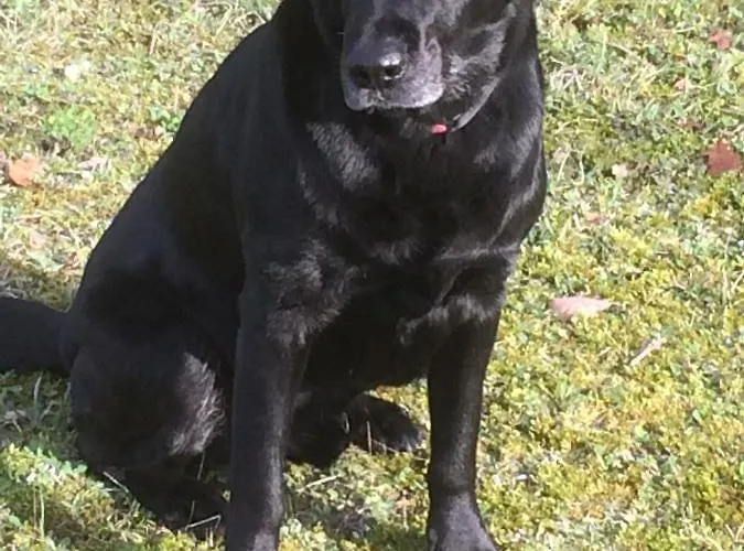 D'hotes Le Donjon Bed & Breakfast Bourdeilles