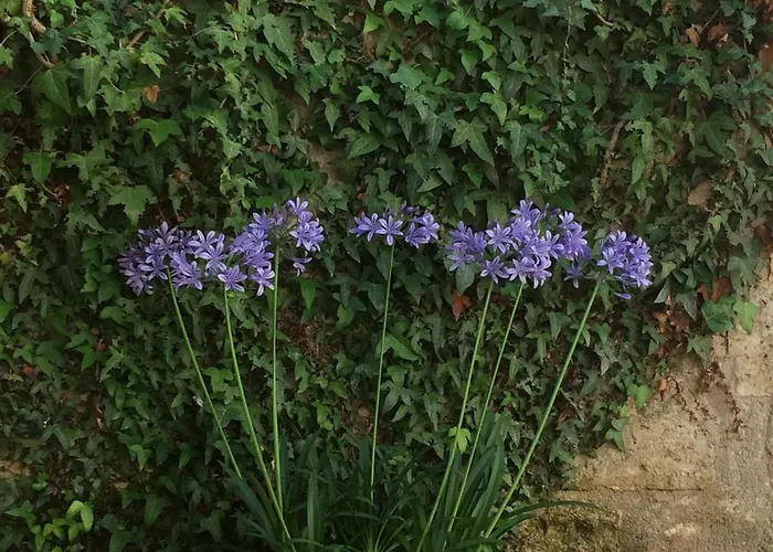 D'hotes Le Donjon 3* Bourdeilles